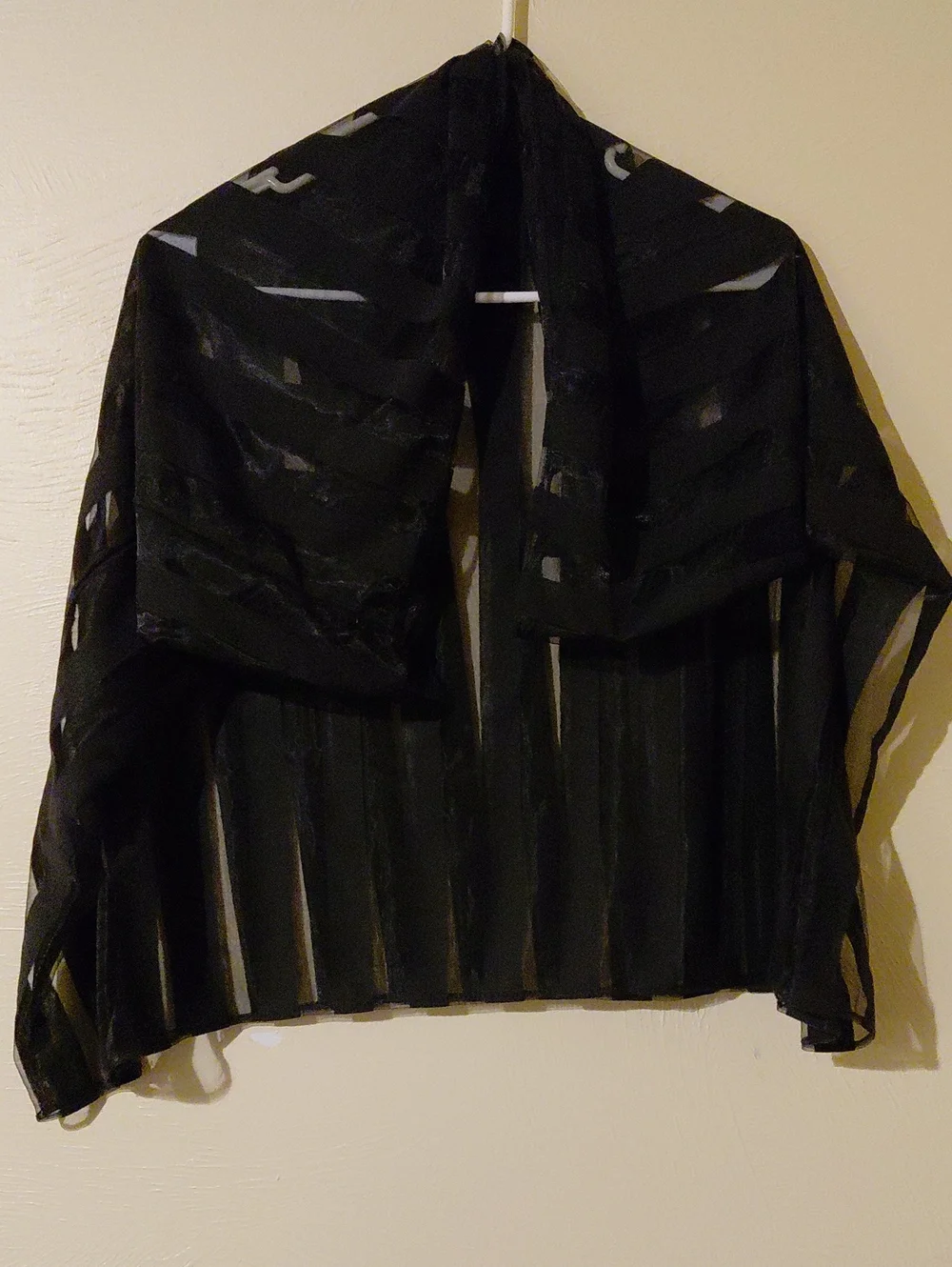 Source Unknown Black Sheer Striped Scarf Wrap